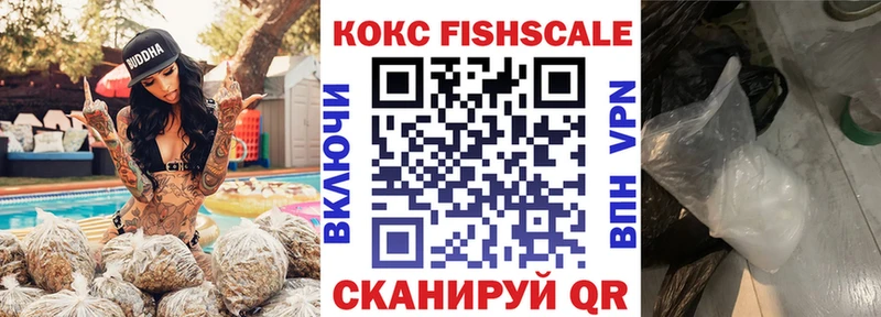 Купить закладки  Ирбит  Кокаин 97% 