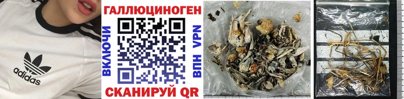 Купить закладки  Ирбит  Галлюциногенные грибы Psilocybe 